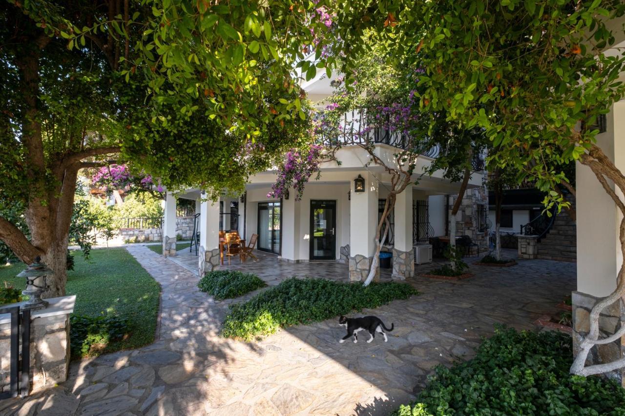 Villa Marine Hotel Ак'яка Екстер'єр фото